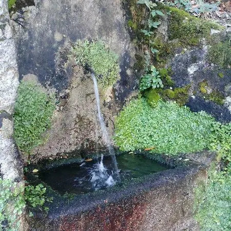 Aquilone Apartment Mergozzo